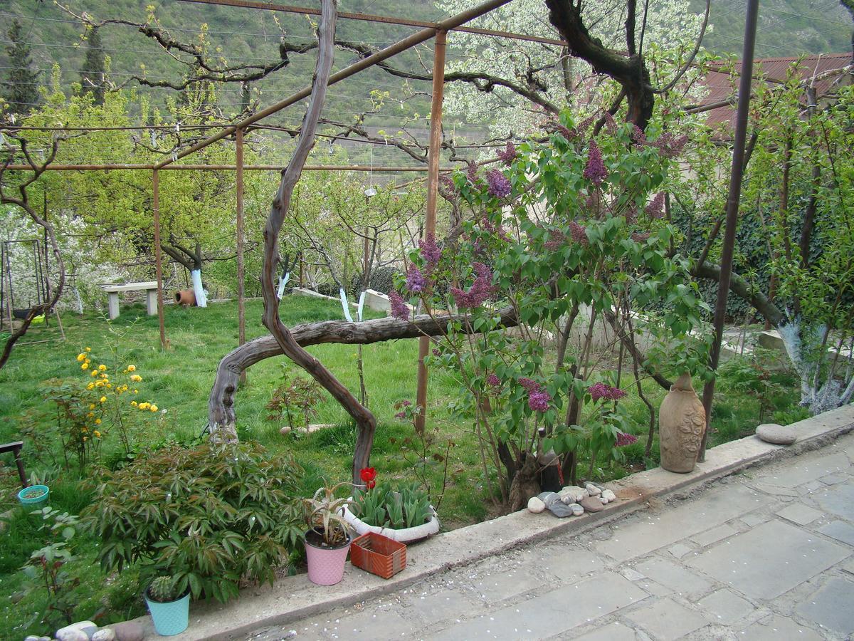 Guest House Ucha Mtsʼkhetʼa Buitenkant foto