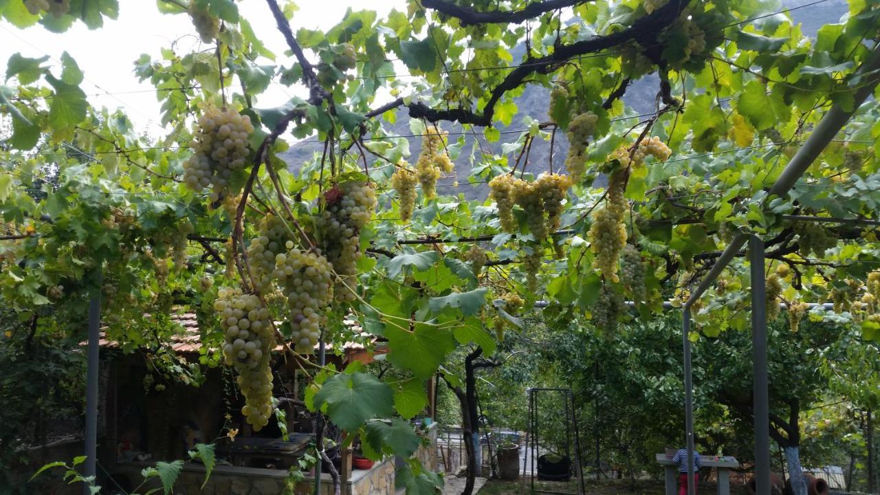 Guest House Ucha Mtsʼkhetʼa Buitenkant foto
