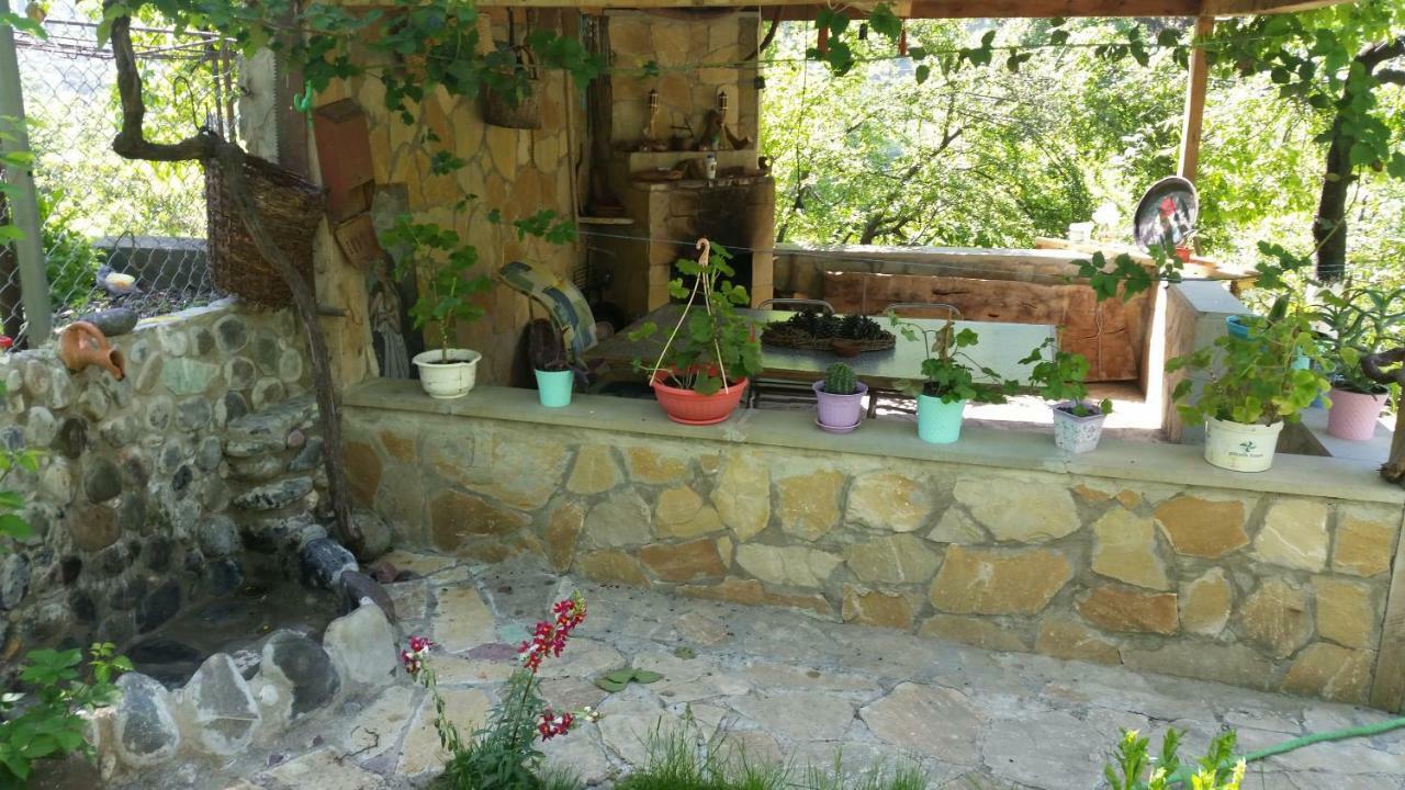 Guest House Ucha Mtsʼkhetʼa Buitenkant foto