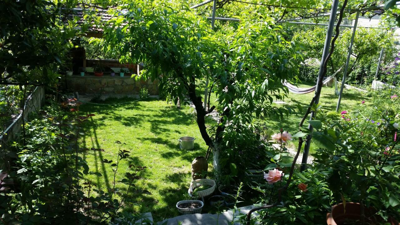 Guest House Ucha Mtsʼkhetʼa Buitenkant foto