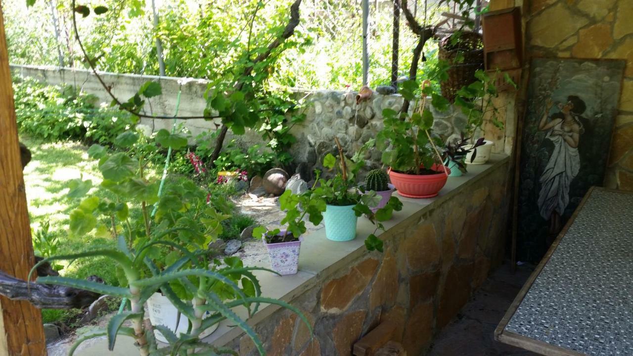 Guest House Ucha Mtsʼkhetʼa Buitenkant foto